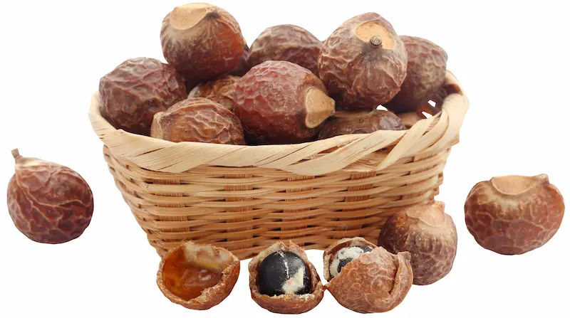 Reetha (Soapnut) Guide Uses, Benefits & Dosage Tips